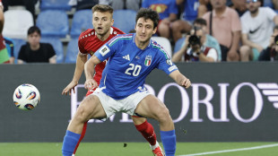 Azzurri: Cambiaso 'spiace per il ct, volevano salutarlo meglio'