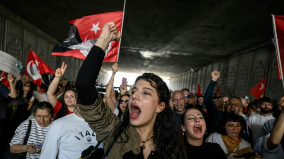Gr&uuml;nen-Politiker fordert Stopp von Abschiebungen in die T&uuml;rkei
