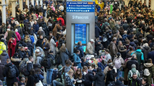 Tunnel sous la Manche: retour &agrave; la normale "dans la nuit" apr&egrave;s un probl&egrave;me technique