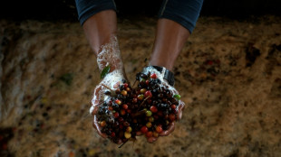 Pl&auml;ne f&uuml;r EU-Lieferkettengesetz gehen &uuml;ber deutsche Regeln stark hinaus