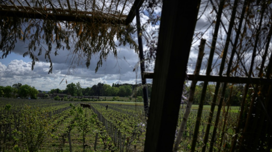 EU-Einigung auf Unterstützung für Winzer und Kennzeichnung für alkoholfreie Weine