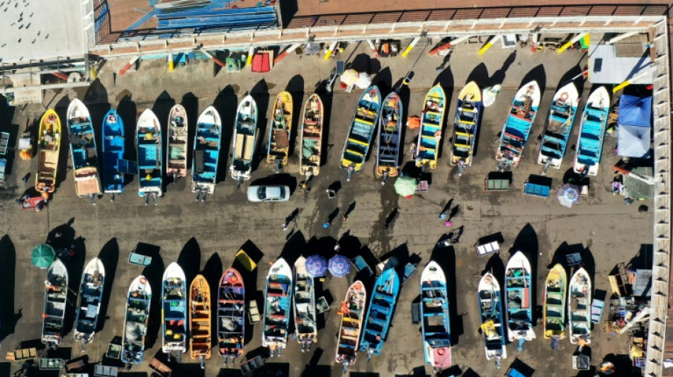 Chile fracassa em sua tentativa de recuperar a popular merluza