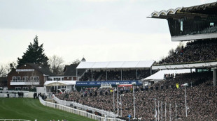 Redknapp and The Jukebox Man the headline act at Cheltenham Festival