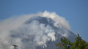 Incendio en Guatemala arrasa 50 hectáreas de bosque en volcán de Agua