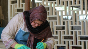 Dans une vall&eacute;e pakistanaise, la petite r&eacute;volution des travailleuses