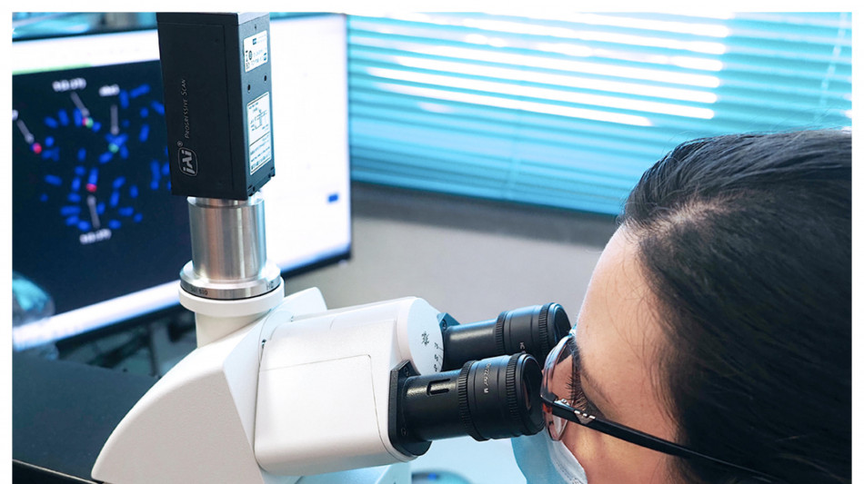 Malaria, trovate chiavi che aprono le cellule umane al parassita