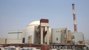 Iran, gli Usa hanno attaccato un'area vicina alla centrale nucleare di Bushehr