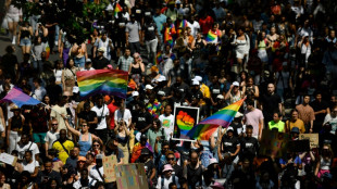 French LGBTQ groups 'extremely concerned' over increase in attacks
