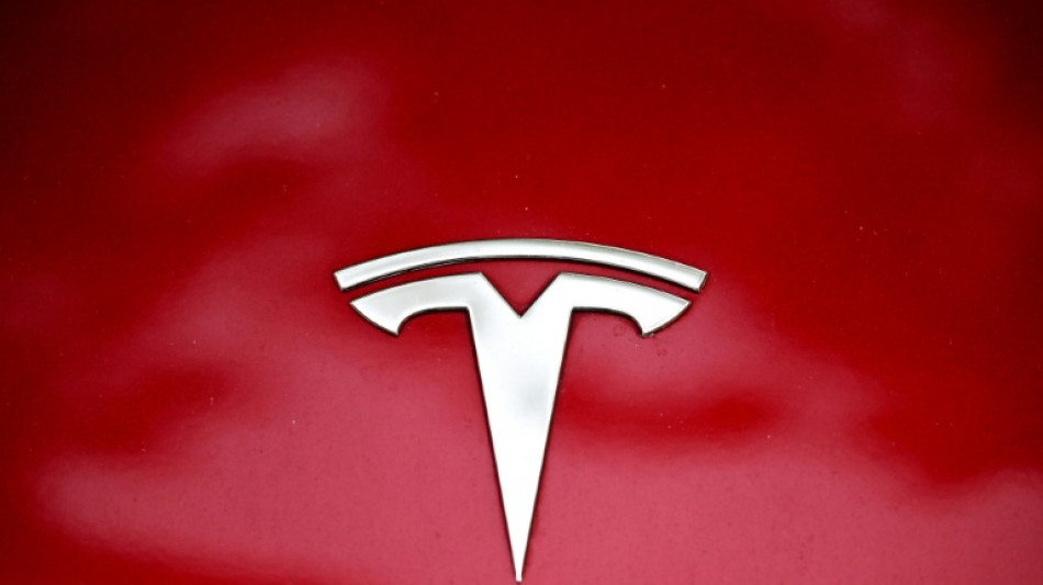 Umfrage: Großteil der E-Auto-Fahrer lehnt Tesla aus politischen Gründen ab