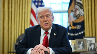 Trump verk&uuml;ndet Strafz&ouml;lle von 25 Prozent auf Auto-Importe ab Anfang April