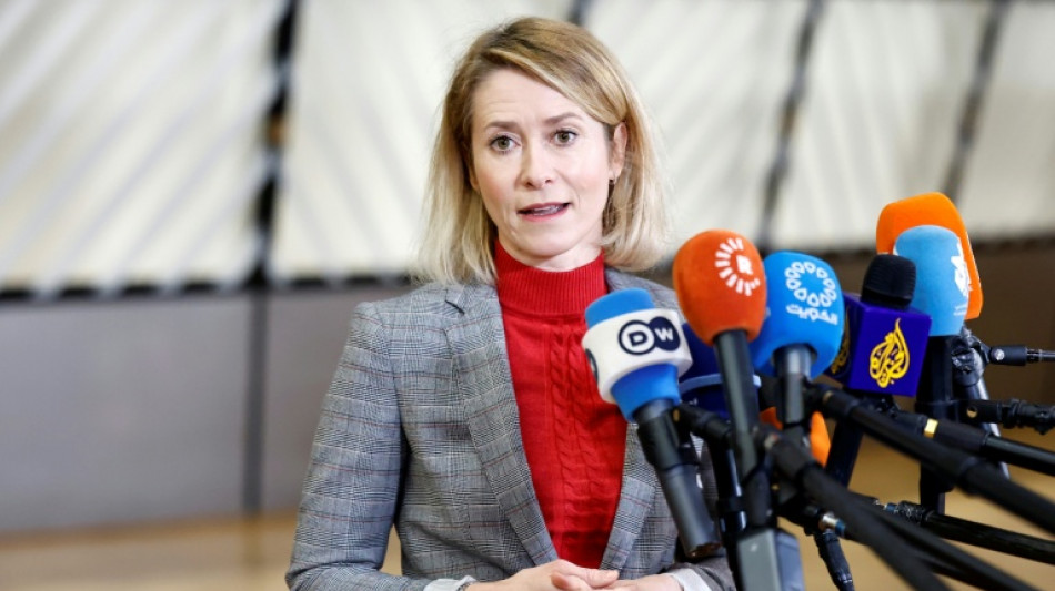 EU to put Iran Guards on 'terrorist list'