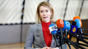 EU to put Iran Guards on 'terrorist list'