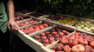 Pesticides: des "polluants éternels" toujours plus présents dans les fruits et légumes en Europe, dénoncent des ONG