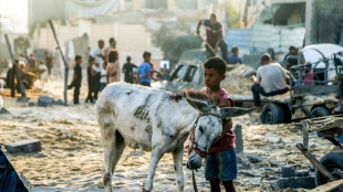 Isra&euml;l annonce de premi&egrave;res livraisons d'aide humanitaire &agrave; Gaza