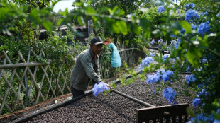 Capital chinesa do ch&aacute; passa a produzir caf&eacute; diante da prefer&ecirc;ncia dos jovens