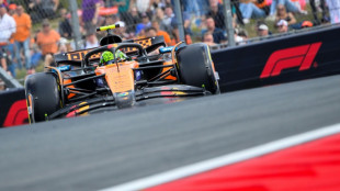 Norris domina o dia de treinos livres nos Pa&iacute;ses Baixos; Alonso fica em segundo