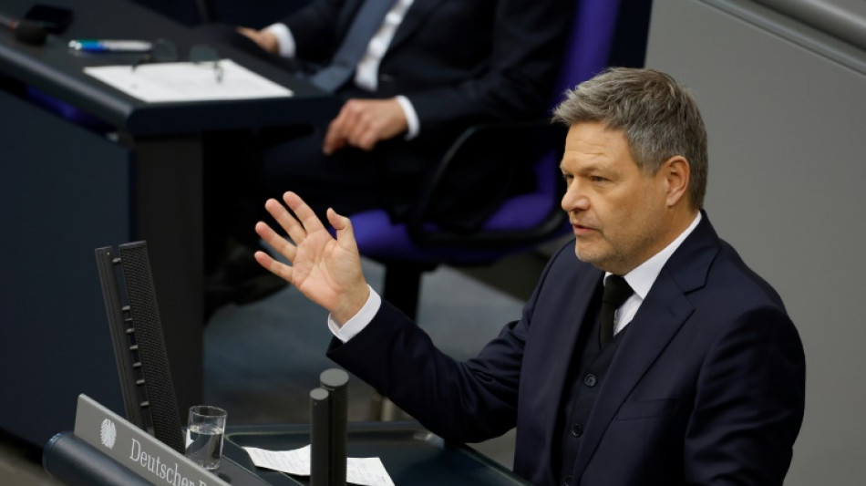 "Spiegel": Habeck will Bundestagsmandat niederlegen - Fraktion best&auml;tigt nicht