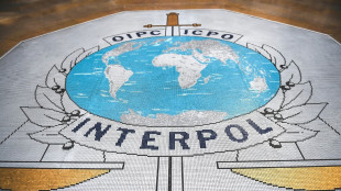 Cybercriminalité en Afrique: plus de 1.200 arrestations dans une vaste opération, selon Interpol