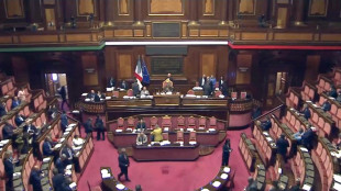Ok del Senato al ddl Caccia con 80 s&igrave; e 56 no