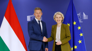 Von der Leyen a Magyar, 'sostegno Ue per sbloccare i fondi congelati'