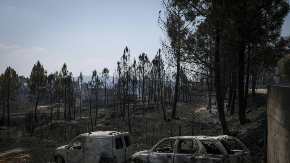 Le Portugal lutte toujours contre des feux de forêts dévastateurs