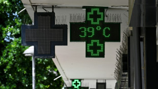El cambio clim&aacute;tico es una causa "inequ&iacute;voca" de la intensa ola de calor en Europa