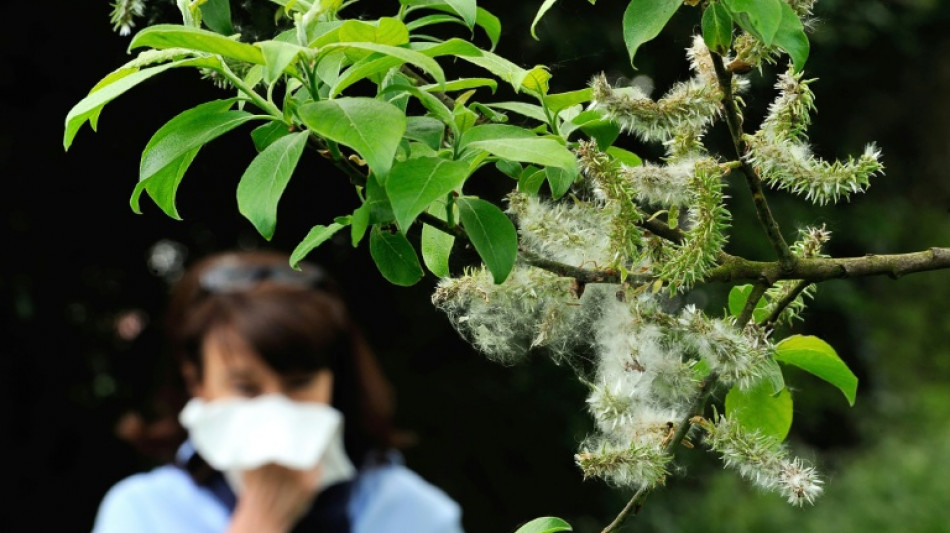 Traitement des allergies: Stallergenes Greer investit fortement en France