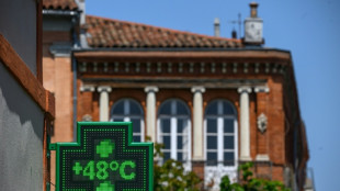 La ola de calor asfixia Europa y pone a prueba las redes el&eacute;ctricas
