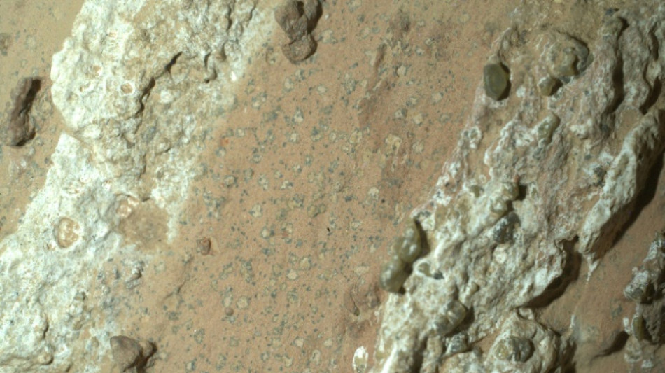 Speckled Martian rocks 'clearest sign' yet of ancient life