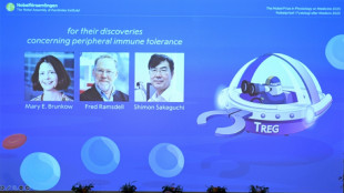 Medicine Nobel to trio who identified immune system's 'security guards'