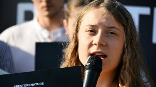 Jugée en Suède, Greta Thunberg échappe à une peine de prison