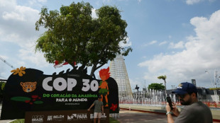 Curupira: guardião da Amazônia e mascote da COP30