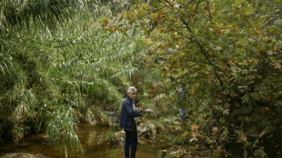 Floodworks on Athens 'oasis' a tough sell among locals