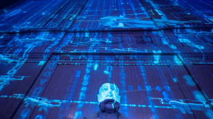 Firms and researchers at odds over superhuman AI