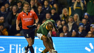 Rugby: l'Afrique du Sud fait plier l'Ecosse, battue 32 &agrave; 15