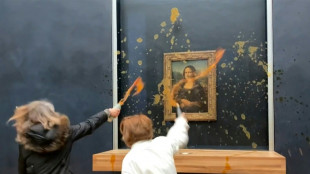 Aktivisten werfen Suppe auf Monet-Gemälde in Museum in Lyon