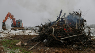 Crise viticole: pr&egrave;s de 8.000 hectares vou&eacute;s &agrave; l'arrachage dans le Bordelais