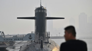 China empf&auml;ngt Verteidigungsminister aus L&auml;ndern wie Russland und dem Iran