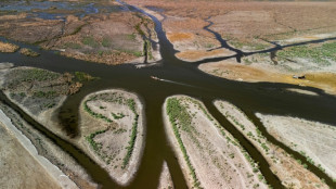 Temp&eacute;ratures extr&ecirc;mes: l'Irak est un "signal d'alarme" pour la plan&egrave;te (haut responsable ONU)