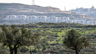 El gobierno espa&ntilde;ol exige a plataformas que retiren anuncios de alojamiento en territorios palestinos ocupados