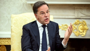 Nato-Generalsekret&auml;r Rutte reist zu Gespr&auml;chen  nach Washington