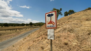 Sécheresse record en août en Europe et sur les côtes de la Méditerranée