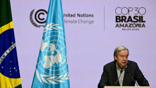 UN chief calls for 'ambitious compromise' at climate talks