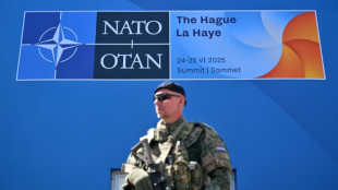 Nato-Gipfel beginnt mit Ukraine-Treffen und Empfang beim K&ouml;nigspaar