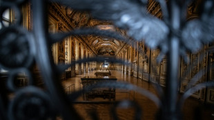 Paris Louvre heist lays bare museum security complaints