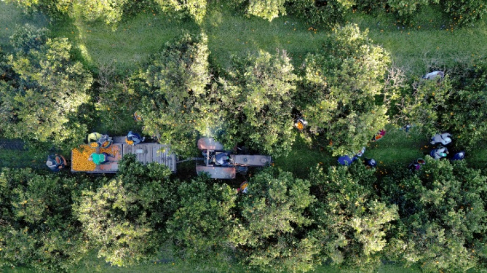 Productores rurales mantienen apoyo a Milei pero se impacientan por más reformas