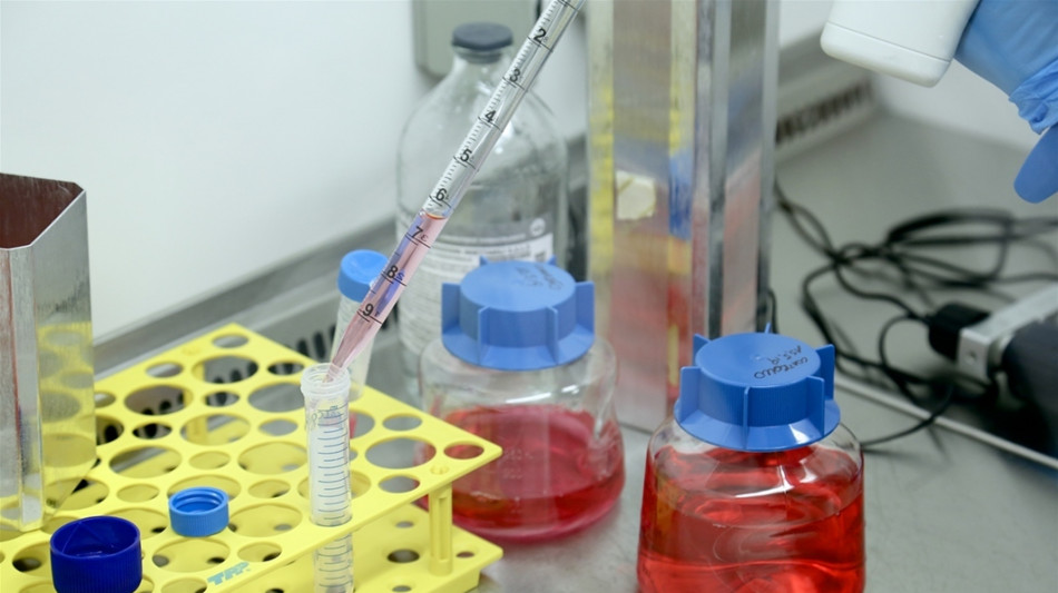 Le diete yo-yo alterano per molto tempo i batteri dell'intestino