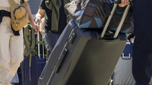 Neozelandesa detida por viajar com criança de dois anos em uma mala