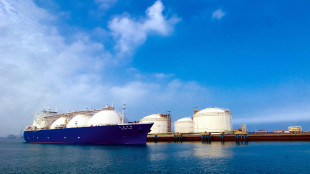 Il gas balza sopra i 51 euro al MWh ad Amsterdam