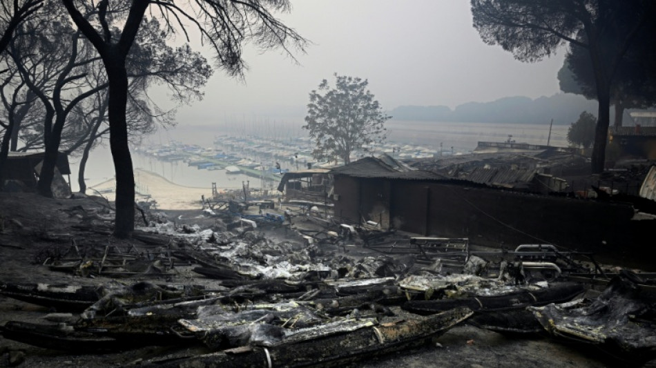 Spain's three worst wildfires since 1961 happened in last two years